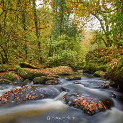 Photographie intitulée 'Couleur d'automne sur la rivière d'argent' - Tirage d'art paysage breton disponible sur www.beaugalerie.art